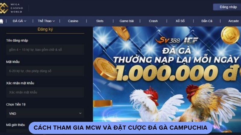 Cách tham gia MCW và đặt cược đá gà campuchia