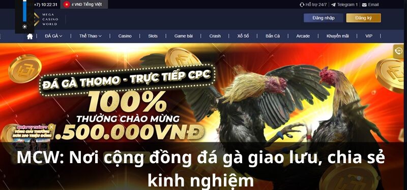 Giới thiệu về MCW