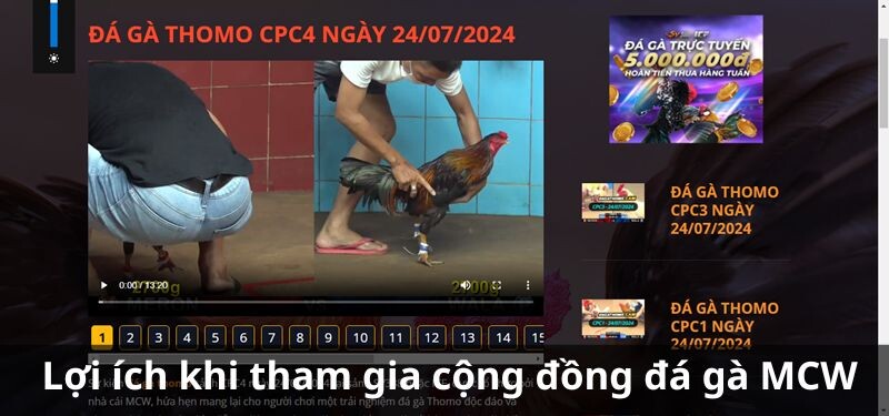 Lợi ích khi tham gia cộng đồng đá gà MCW