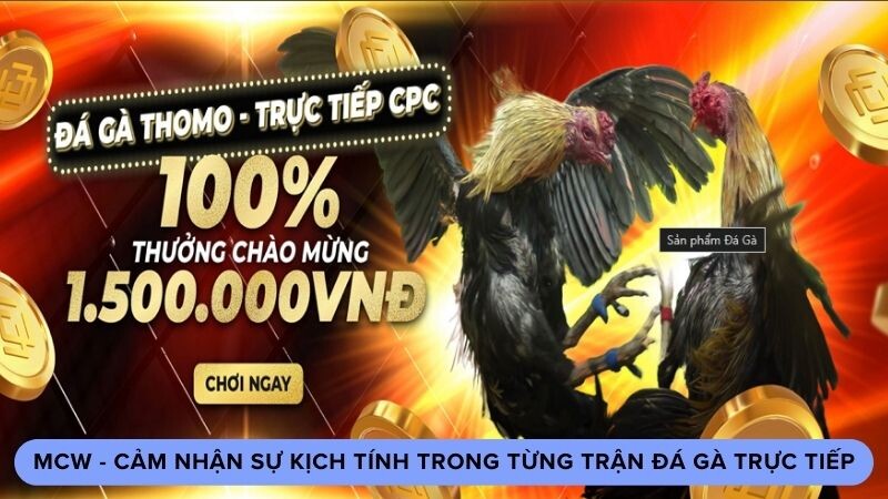 Nhìn chung về nhà cái MCW