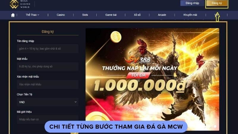 Chi tiết từng bước tham gia đá gà mcw