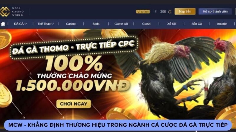 Những điều nên biết về nhà cái MCW